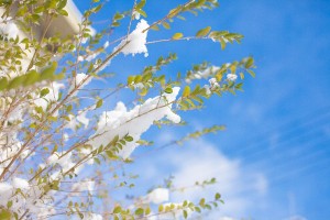「～だけどね」と付け足して言いたい時に使える「though」